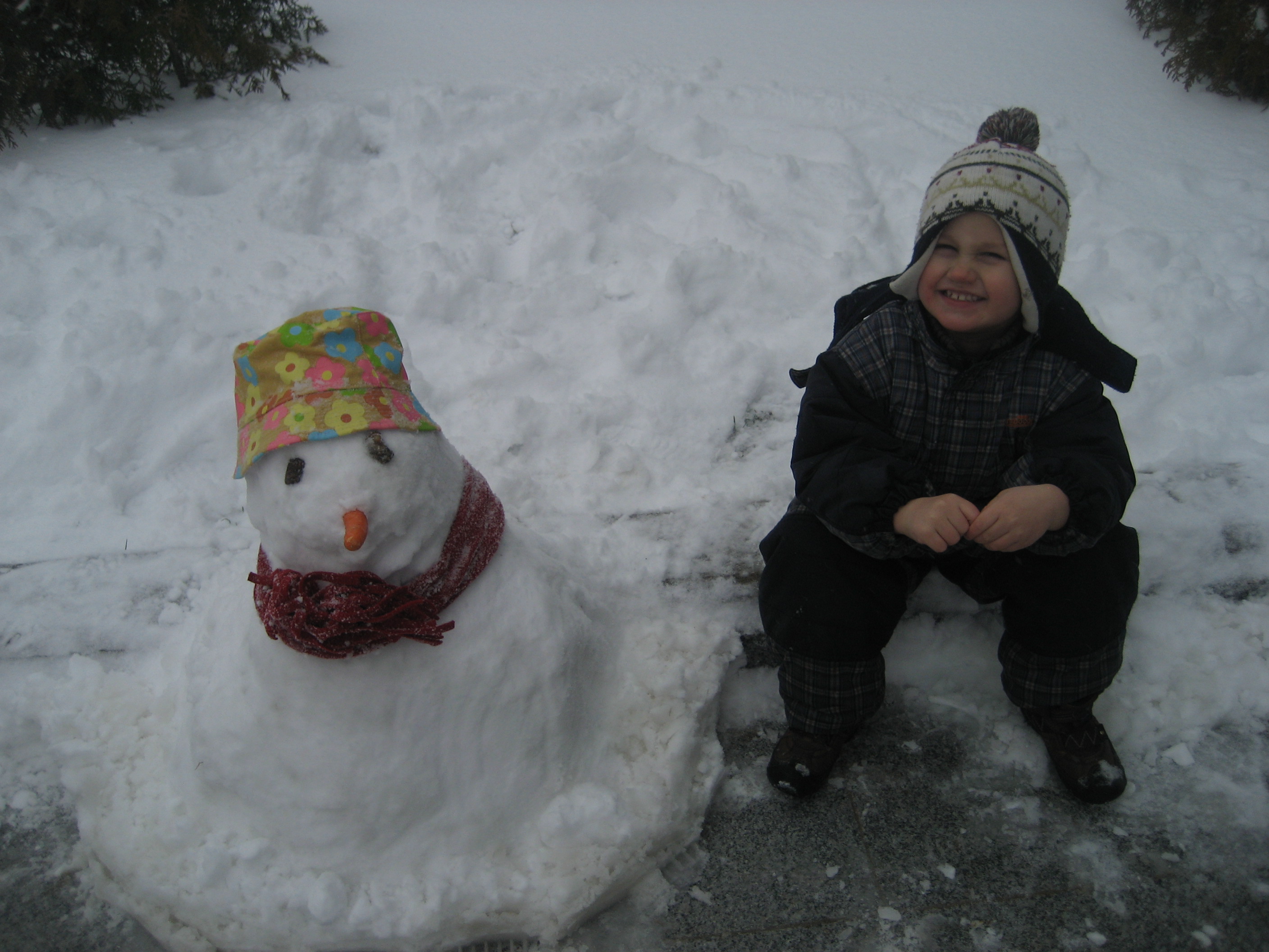 Ben i snjegovi(2010)